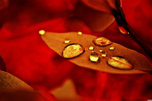 虚拟现实融入电竞联盟大胆创新,引人遐想 虚拟现实融入电竞联盟大胆创新,引人遐想